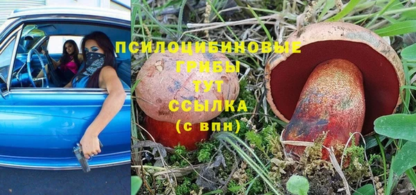 твердый Верея