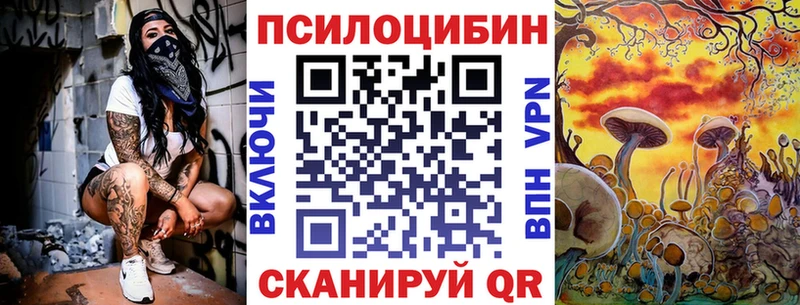 KRAKEN зеркало  Уссурийск  Галлюциногенные грибы Psilocybe 